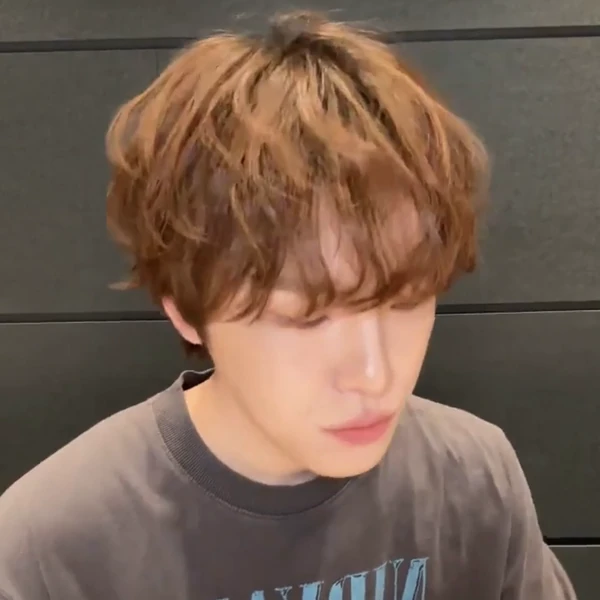 Fans' Pick: Best Moment of Dino (SEVENTEEN)