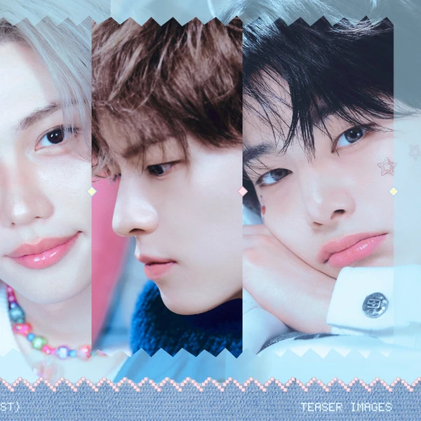 Stray Kids 팬심 가득한 인기 사진