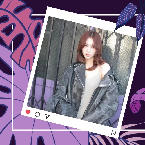 充滿粉絲愛意的Momo (TWICE)人氣照片