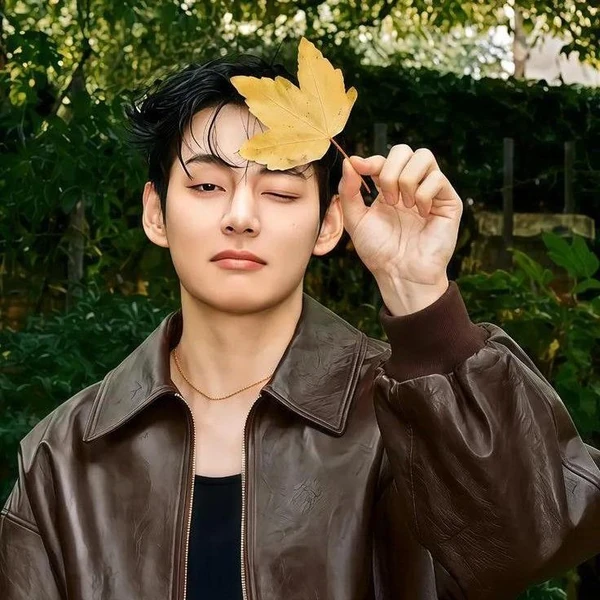 粉絲票選的V (防彈少年團)最佳瞬間