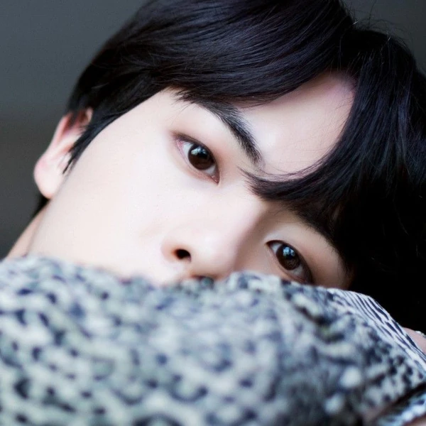 진 (방탄소년단)