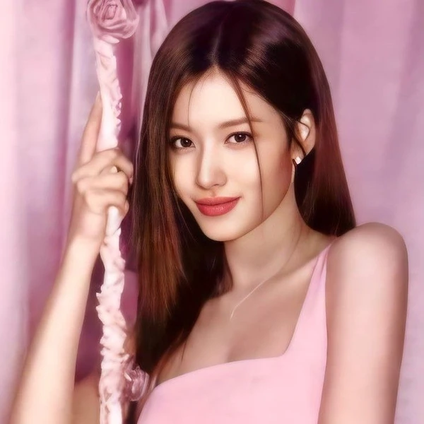 充滿粉絲愛意的Sana (TWICE)人氣照片