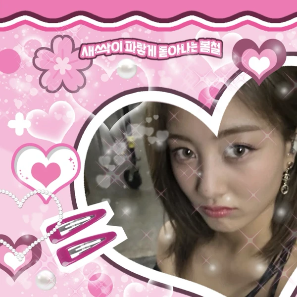 粉絲票選的志效 (TWICE)最佳瞬間