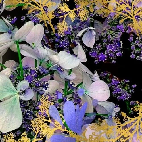 Fans' Pick: Best Moment of JI U (DREAMCATCHER)