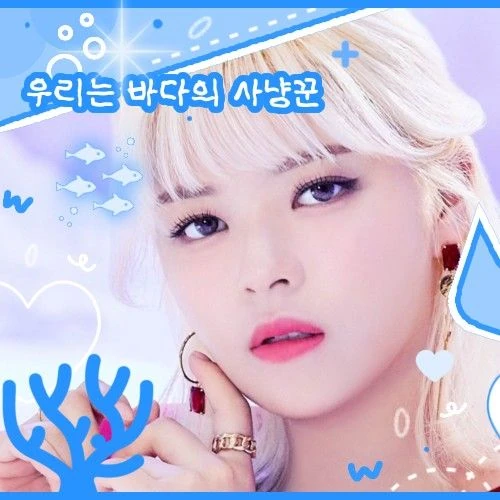 TWICE 팬심 가득한 인기 사진