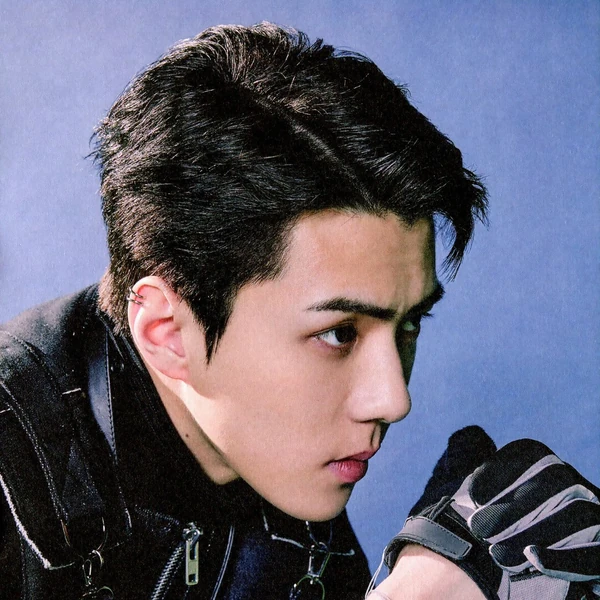 Today's Most Loved Sehun (EXO)