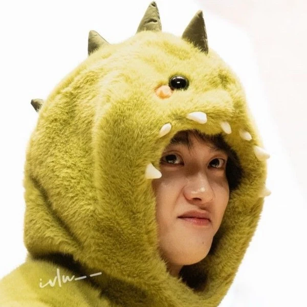 充滿粉絲愛意的D.O. (EXO)人氣照片