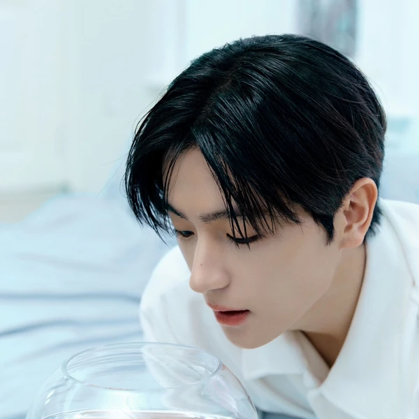 더보이즈 팬심 가득한 인기 사진