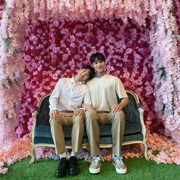 세븐틴 팬심 가득한 인기 사진