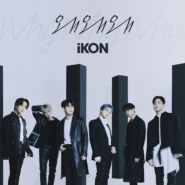 iKON 팬심 가득한 인기 사진