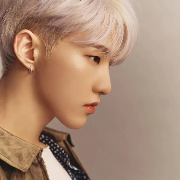 今日最受喜愛的SEVENTEEN