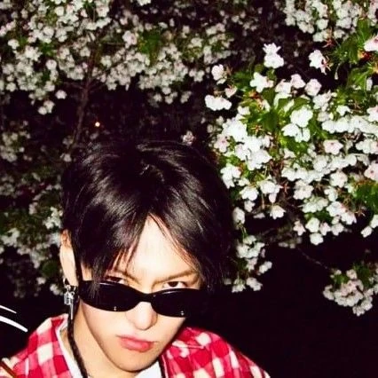 Today's Most Loved Yoshi (TREASURE)