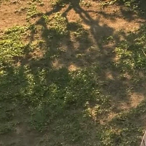 Top Photo Full of Lee Soojin (Weeekly) Love