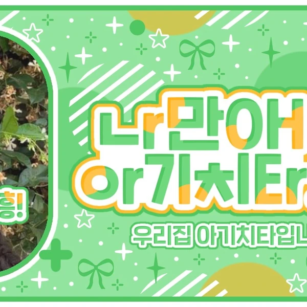 充滿粉絲愛意的圭真 (NMIXX)人氣照片