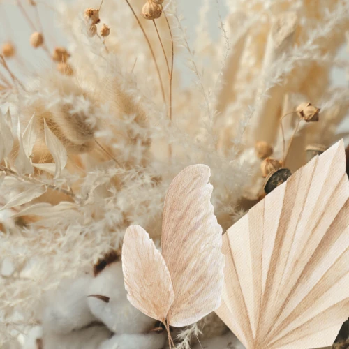 Top Photo Full of Hyui (NEXZ) Love