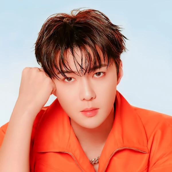 팬들이 뽑은 세훈 (EXO) 최고의 순간