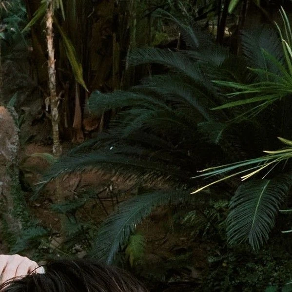 Top Photo Full of Seoho (ONEUS) Love