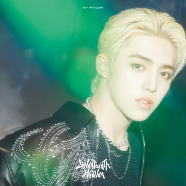 오늘 가장 사랑받은 세븐틴의 모습