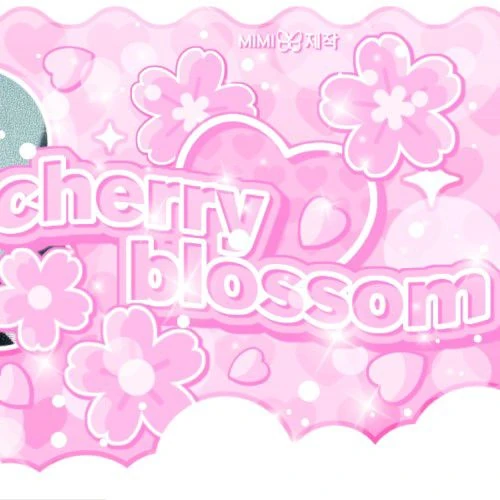 Top Photo Full of LIZ (IVE) Love