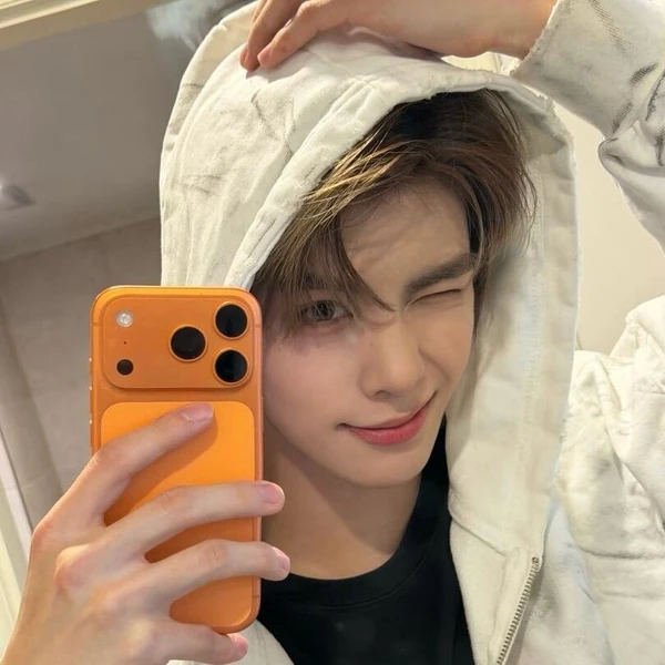 Today's Most Loved NouerA