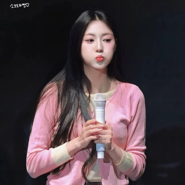 充满粉丝爱意的吴夏荣 (Apink)人气照片