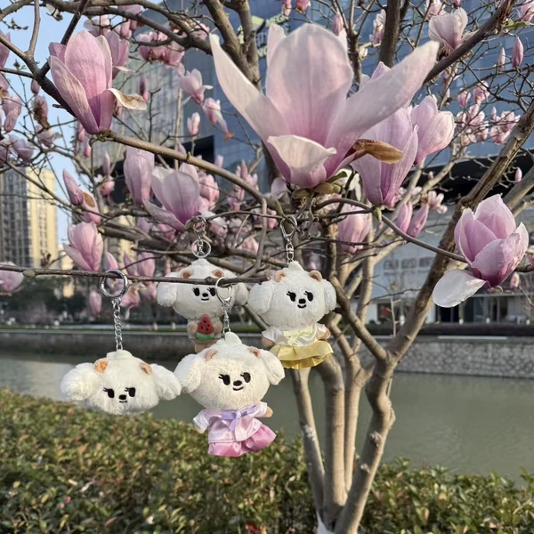 Today's Most Loved Beomgyu (TOMORROW X TOGETHER)