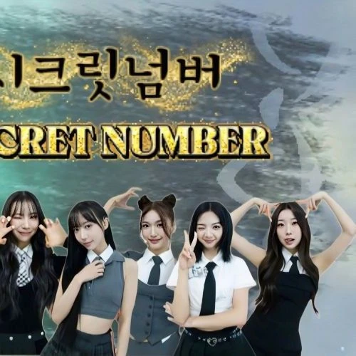 팬들이 뽑은 SECRET NUMBER 최고의 순간