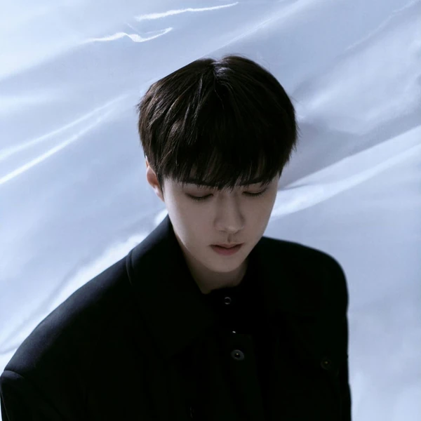 팬들이 뽑은 세훈 (EXO) 최고의 순간