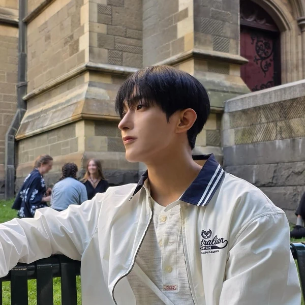 粉絲票選的SEVENTEEN最佳瞬間