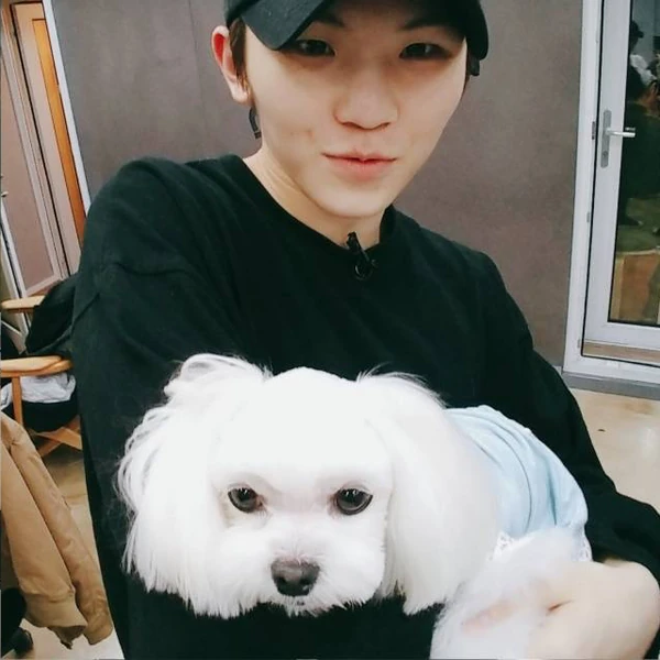 Today's Most Loved Woozi (SEVENTEEN)