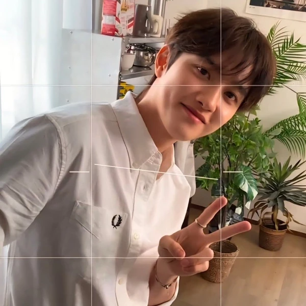 充滿粉絲愛意的D.O. (EXO)人氣照片