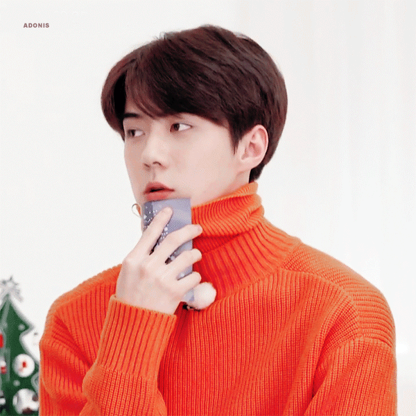 세훈 (EXO) 팬심 가득한 인기 사진