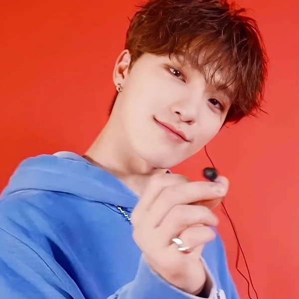 粉絲票選的SEVENTEEN最佳瞬間