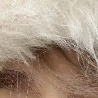 Popular profile picture of 西畑大吾 (Naniwa Danshi) loved by fans