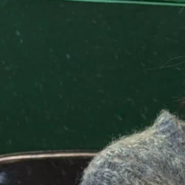 Today's Most Loved Jeong Yein (Lovelyz)