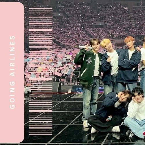 세븐틴 팬심 가득한 인기 사진