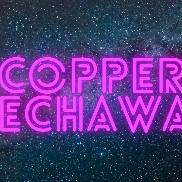 今天最受喜爱的Copper (BUS)