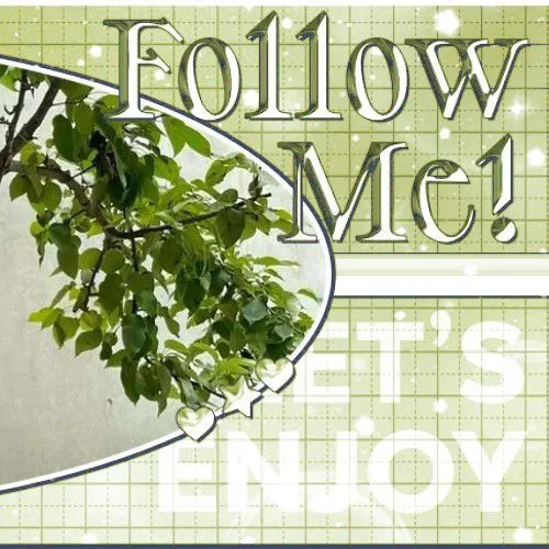 Today's Most Loved Choi Yoojung