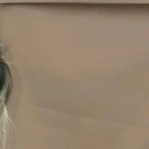 Top Photo Full of Solar (MAMAMOO) Love