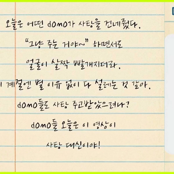 오늘 가장 사랑받은 백호의 모습