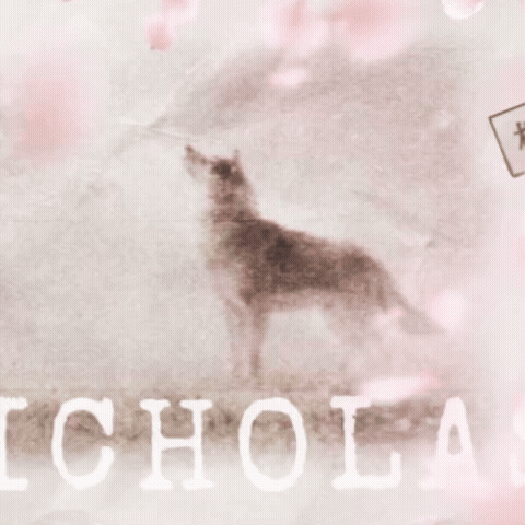 Today's Most Loved Nicholas (&TEAM)