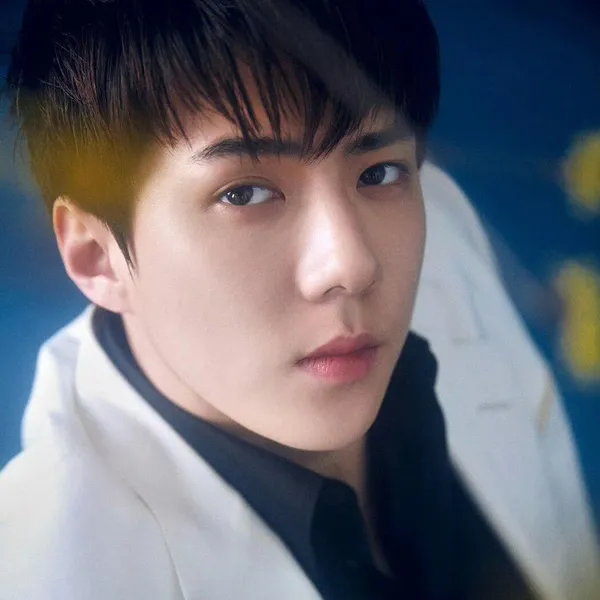 팬들이 뽑은 세훈 (EXO) 최고의 순간