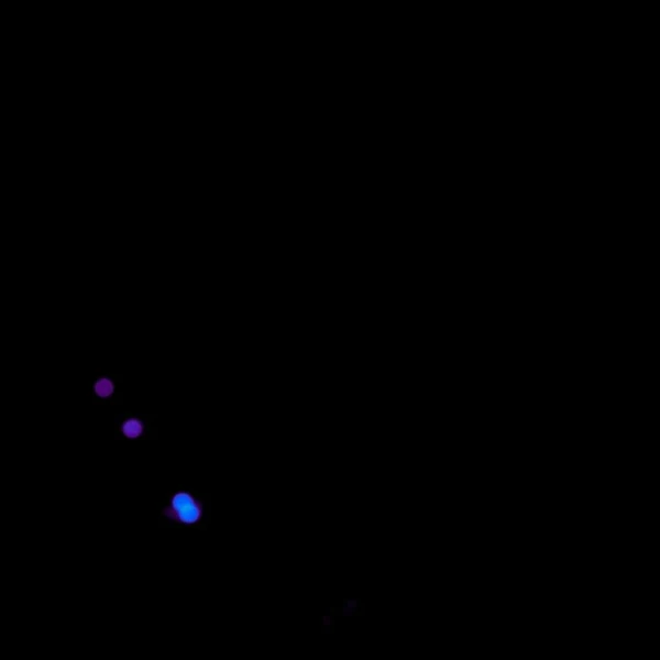 今天最受喜爱的玟星 (MAMAMOO)