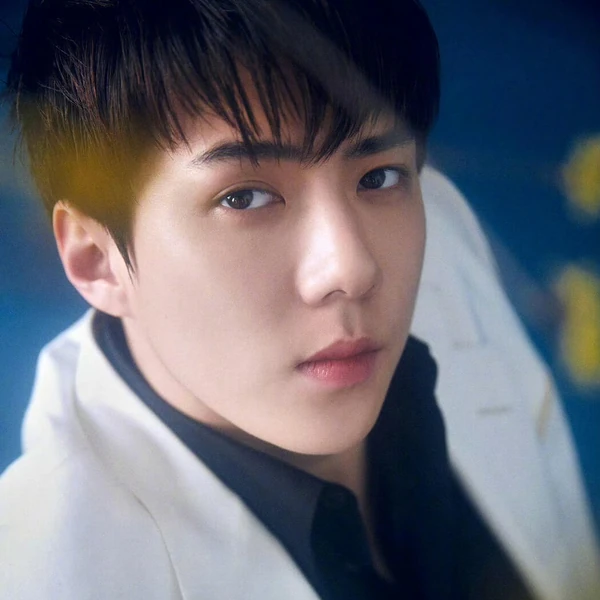 Fans' Pick: Best Moment of Sehun (EXO)