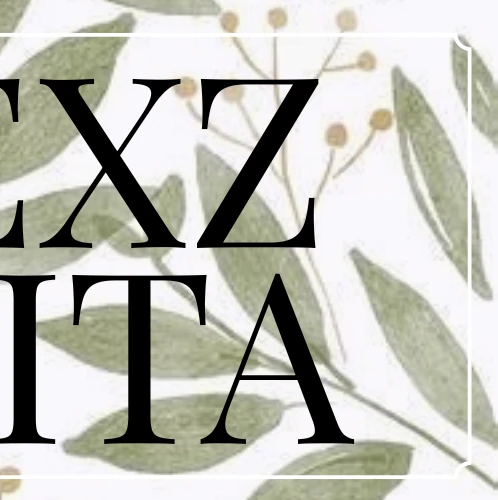 Fans' Pick: Best Moment of Seita (NEXZ)