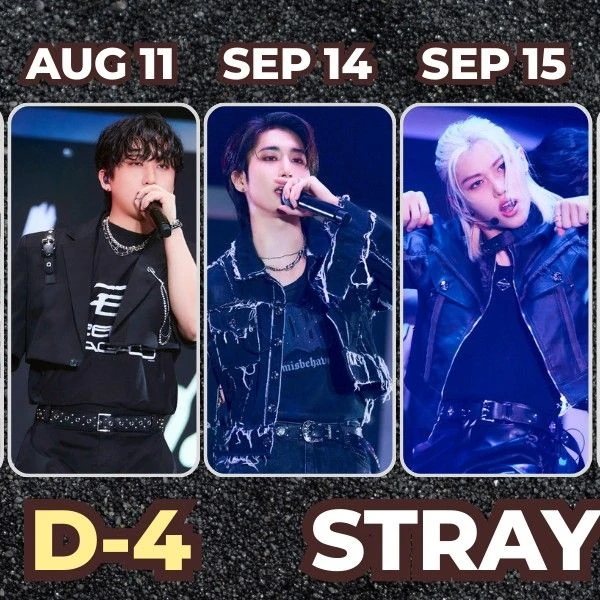 今日最も愛されたStray Kidsの姿