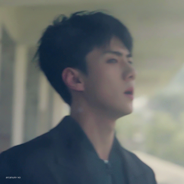 오늘 가장 사랑받은 세훈 (EXO)의 모습