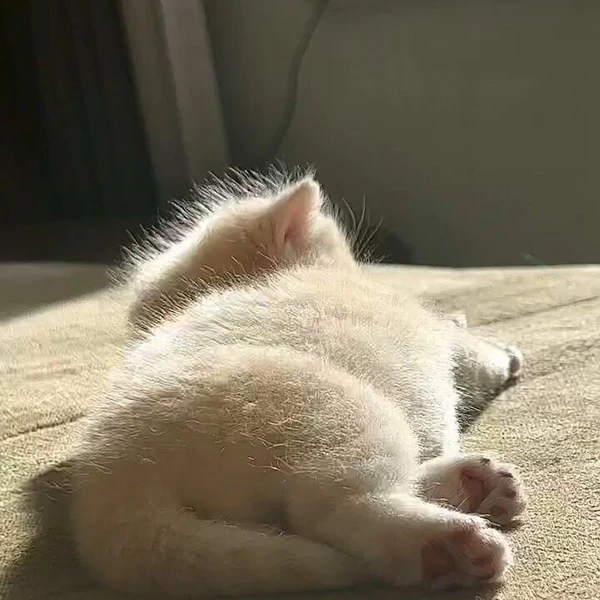 Momen Terbaik Hanbin (TEMPEST) Pilihan Penggemar