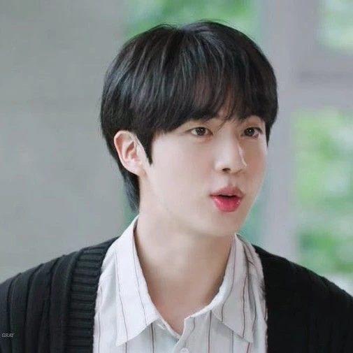 진 (방탄소년단) 팬심 가득한 인기 사진