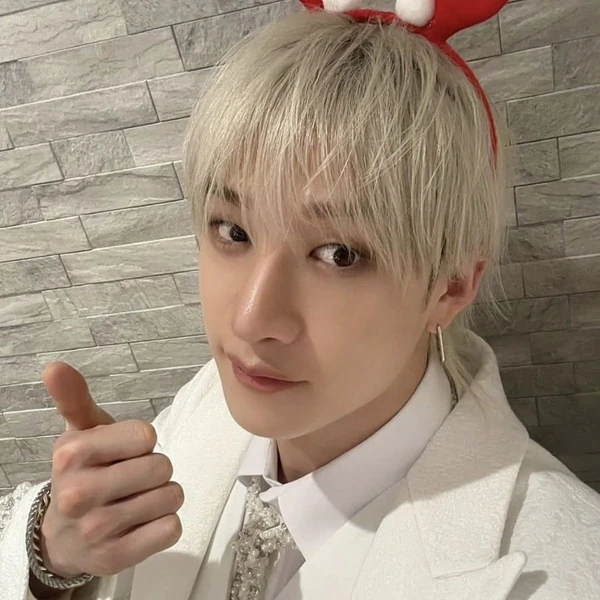 Fans' Pick: Best Moment of Bang Chan (Stray Kids)